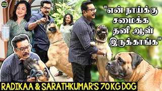 2 வயசுல 70 கிலோ , Sarathkumar & Radikaa வளர்க்கும் நாய்க்கு இவ்ளோ செலவாகுதா!  Live Visit