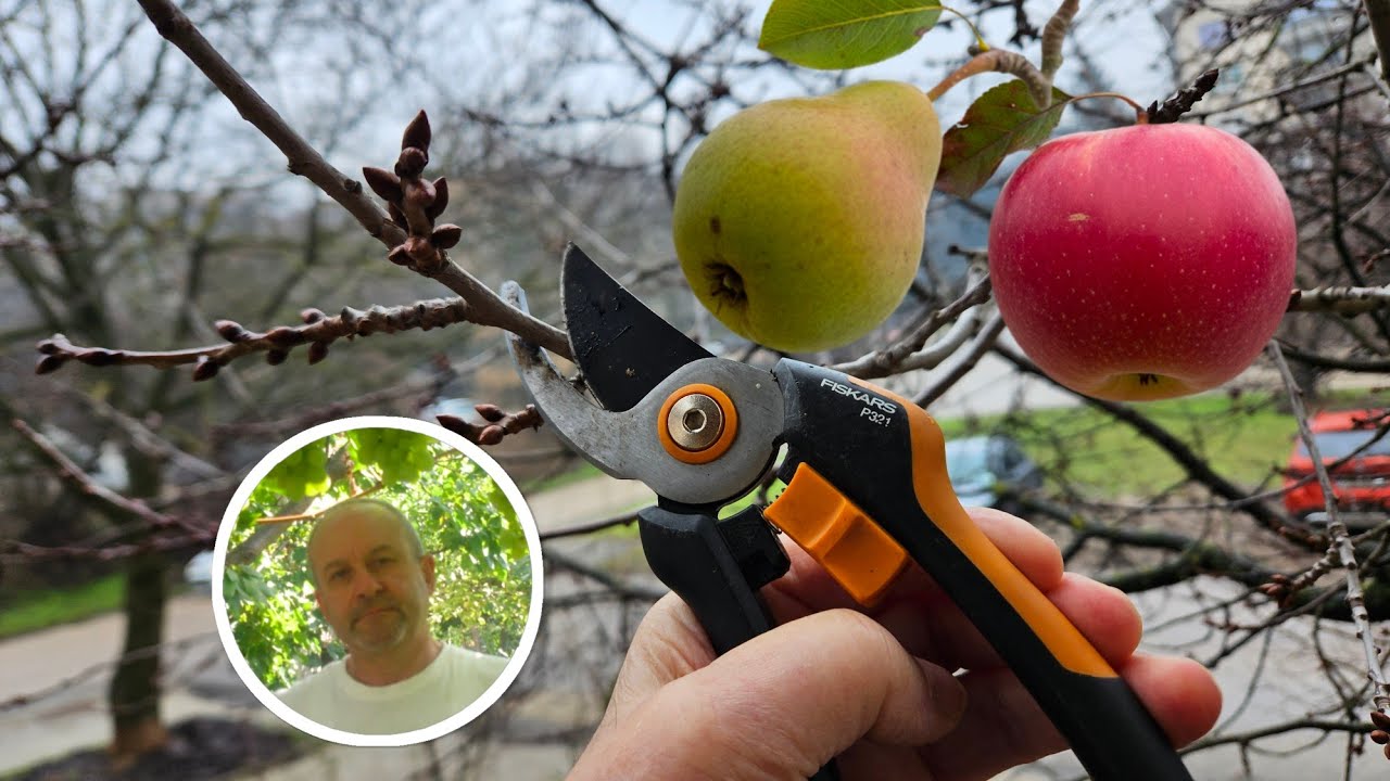 1.24. Пролетна Резитба Овошки на етапи. (I етап)