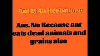 Ant 🐜 Is a Herbivore