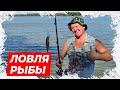 ⚡Анекдот про ловлю рыбы на присоску! Смешной анекдот!⚡