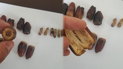 Remove Seeds Machine For Dates/Seeds Pitting Machine