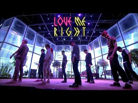 EXO(엑소) - LOVE ME RIGHT 교차편집 / Stage Mix