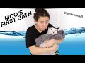 GIVING MY CAT HER FIRST BATH | AYYDUBS