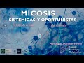 Micosis Sistémicas y Oportunistas