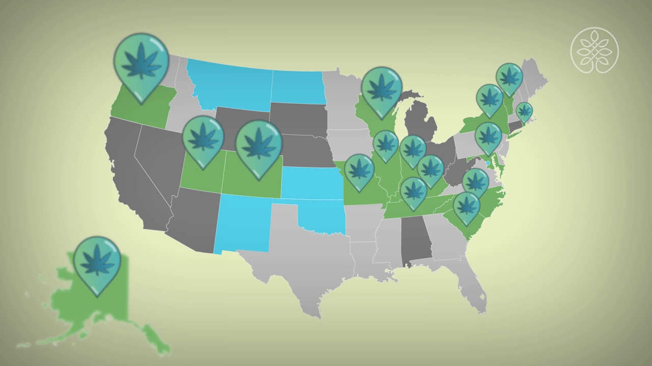 Is CBD Oil Legal  50 States Guide