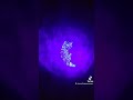 Follow @everythingquantumpro on tiktok