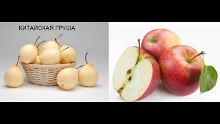 Как вырастить китайскую грушу и яблоки из семян