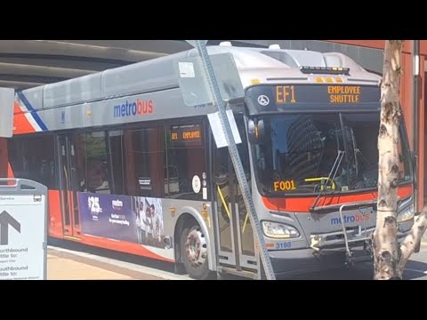 WMATA Metrobus 2018 New Flyer XN40 3198 On Route EF1 (Formerly F99) [NEW ROUTE]