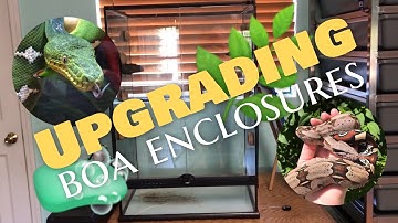 Full Enclosure Cleaning for Our Boas | Tub Upgrade and NEW Decor for under $50
