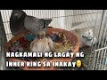 Nagkamali ng lagay ng inner ring sa inakay reggie cruz loft  aviary reggiecruzloftandaviary