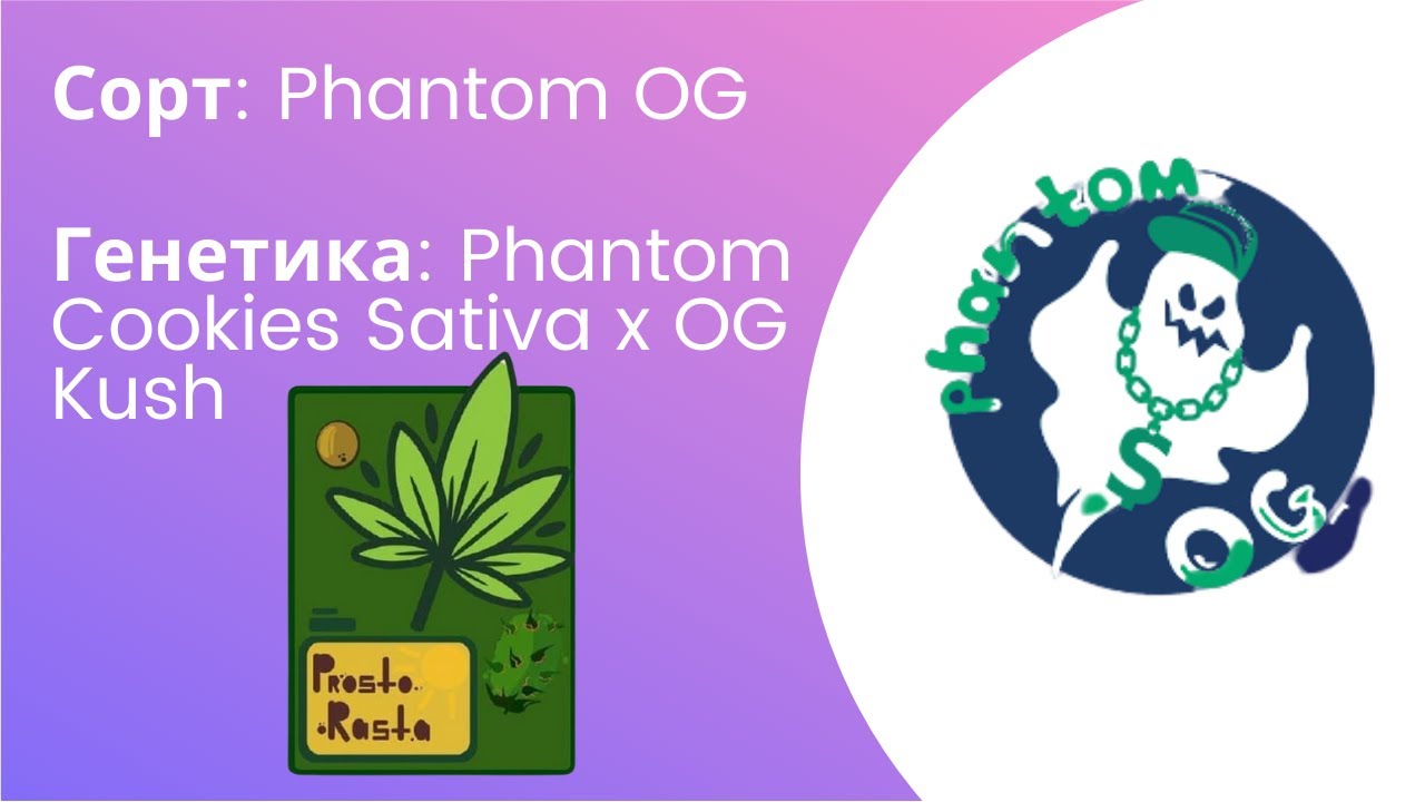 Phantom og