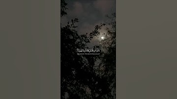 قالوا من فعل هذا بآلهتنا إنه لمن الظالمين #سورة_الأنبياء #قرآن #ياسر_الدوسري #تلاوة #Quran