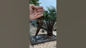 Из чего делают Текилу - Голубая Агава . Мексикайф