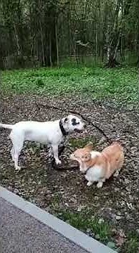 youtube.com