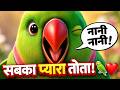 मिट्ठू तोता बोले — नानी नानी! 🦜🎶 | हिंदी बाल गीत | Animated Rhyme
