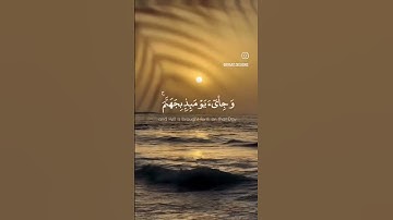 سورة الفجر محمد صديق المنشاوي #كلا_اذا_دكت_الارض_دكا_دكا #وجاء_ربك_والملك_صفاصفا #سورة_الفجر