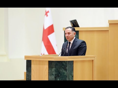 შინაგან საქმეთა მინისტრი პარლამენტში