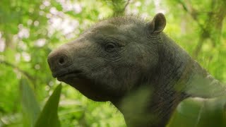 Prehistoric Planet Ice Age [2025] - Eremotherium Screen Time