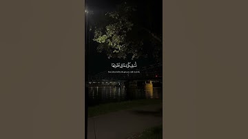 وشجرة تخرج من طور سيناء ｜ ياسر الدوسري ｜ سورة المؤمنون