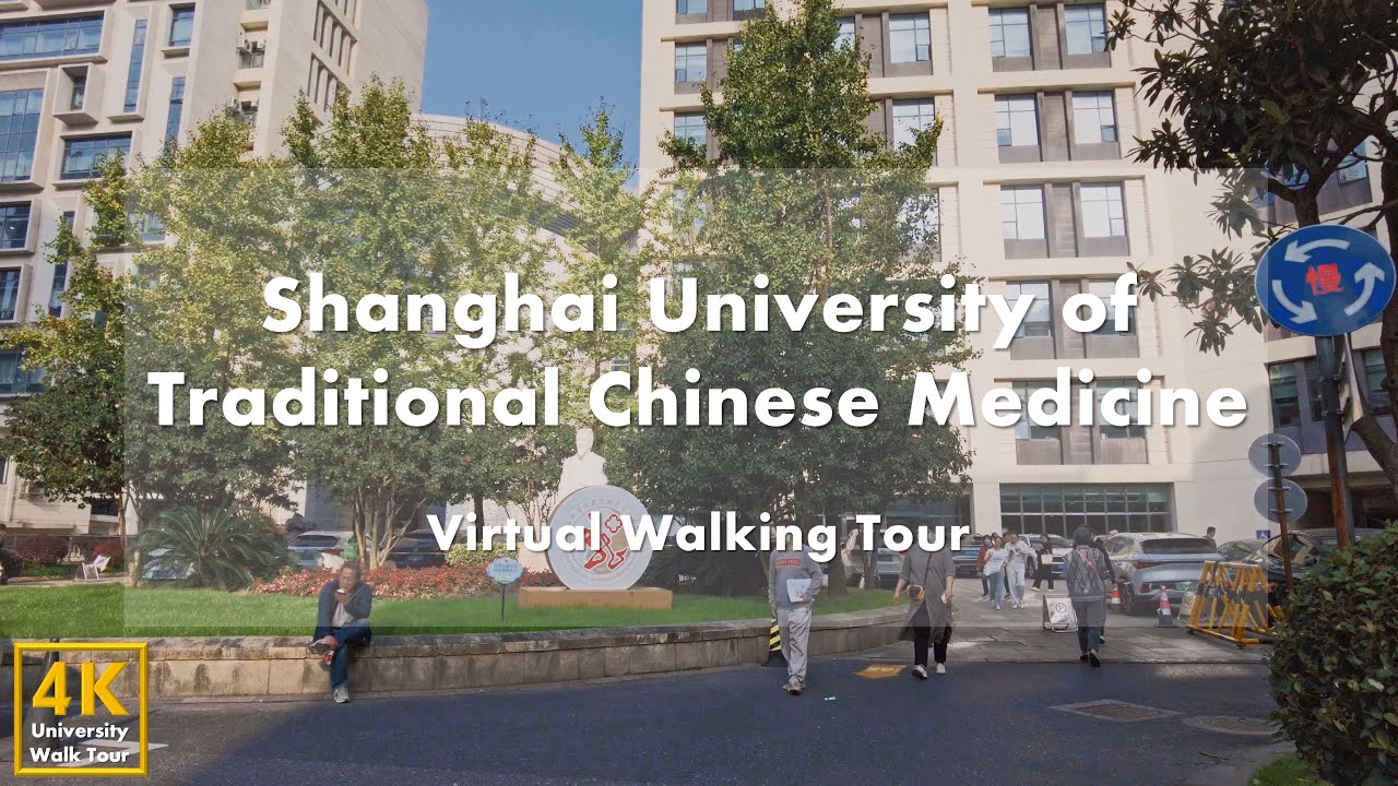Shanghai University of Traditional Chinese Medicine (Xuhui Campus) - Virtual Walking Tour [4k 60fps]