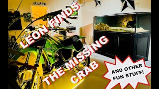 Leon Finds The Missing Crab by Brady Brandwood 125,301 views 1 month ago 18 minutes