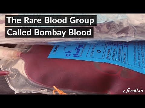 Video: Rozdíl Mezi Bombay Blood Group A O Blood Group