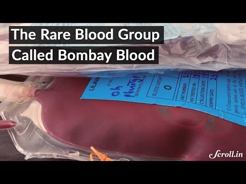The Bombay Blood