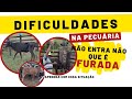 DIFICULDADES DA PECUÁRIA | Se é iniciante ou quer iniciar na pecuária, veja isso