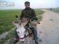 Move your car going green in iraq iran border hq original