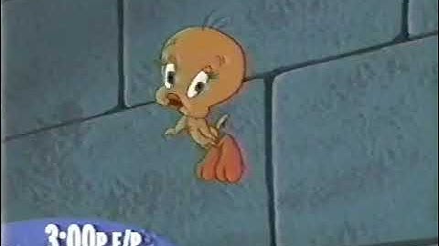 Cartoon Network Sylvester & Tweety Mysteries/Hamtaro promo featuring Granny and Hamtaro (2003)