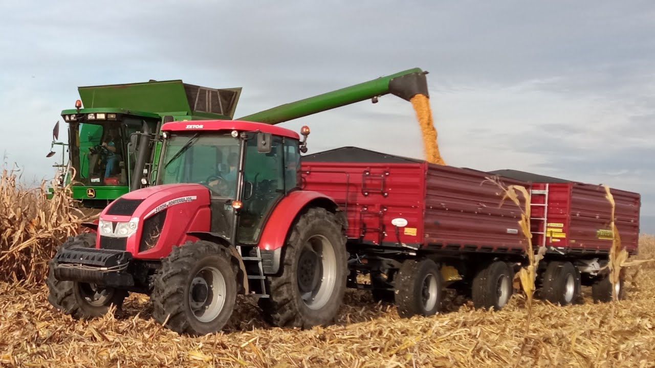 koszenie kukurydzy na ziarno Usługi Rolnicze Marciniak