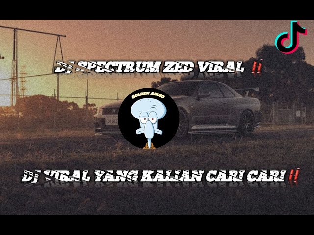 DJ SPECTRUM ZED VIRAL TIKTOK TERBARU YANG KALIAN CARI CARI ‼️ class=