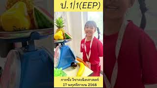 📅 17 พฤศจิกายน 2568🧮 วิชาคณิตศาสตร์ ป.1/1 (EEP) การชั่งน้ำหนักผลไม้