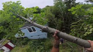 Climbing & Removing Trees in Tight Spaces | Sydney, Nova Scotia