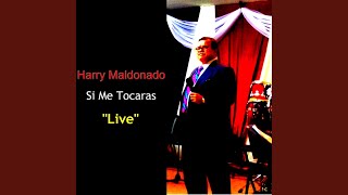 Video thumbnail of "Harry Maldonado - Si Me Tocaras (Live)"