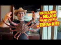 Probando La MEJOR MARISQUERIA de ESPAÑA: dBerto en O´Grove