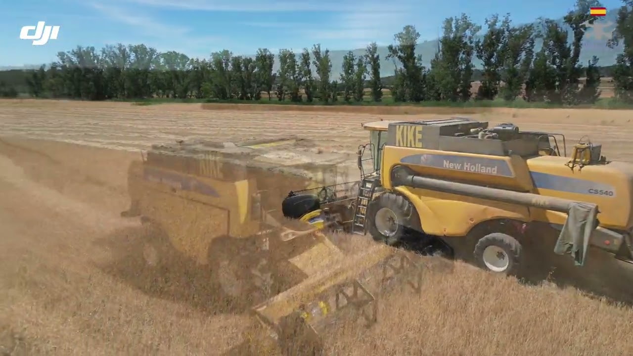 Siega de cebada 2025, Villaescusa de Haro.