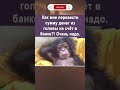 Как вывести деньги?😆#shorts #funny #memes #новости #прикол #рекомендации #смех #фильм #юмор #смешно