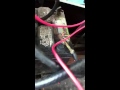 Toro Wheel Horse Tractor Wiring