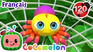 L’araignée | Chansons pour Bébés | CoComelon Le coin des Animaux de JJ - Comptines