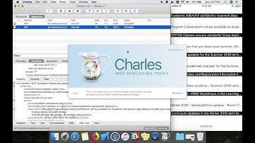 LoacalMappingAndRemoteMappingInCharles