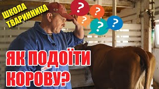 Як правильно доїти корову? Що НЕ можна робити? | Школа тваринника | Куркуль