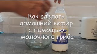 Как сделать домашний кефир с помощью молочного гриба