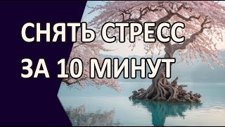 видео: Японский секрет гармонии. Снимите стресс и верните покой за 10 минут картинка: Японский секрет гармонии. Снимите стресс и верните покой за 10 минут