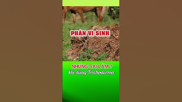 🌱 Vì sao nhiều bà con dùng Trichoderma mà cây chưa cải thiện?
