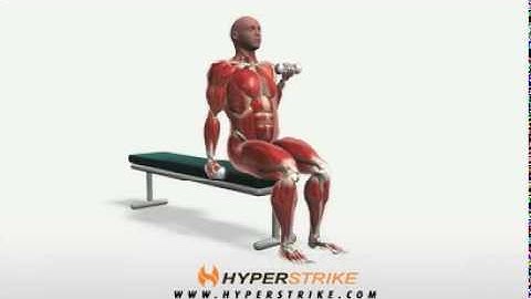 Exercise Videos- Alternating Supinating Curl -- Seated
