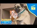 Mighty Mike🐶 Petal To the Metal 🌹 Episode 119 - Full Episode - Cartoon Animation for Kids