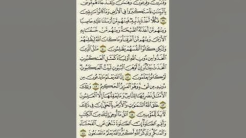 سورة العنكبوت من الآية ٣٩ إلى الآية ٤٥بصوت القارئ ماهر المعيقلي