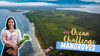 Mangroves - Episode 5 - Malizia My Ocean Challenge (ENGLISH)