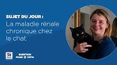 17 Prise De Sang Dans La Veine Jugulaire Et Micro Hematocrite Youtube 17 Prise De Sang Dans La Veine Jugulaire Et Micro Hematocrite Youtube